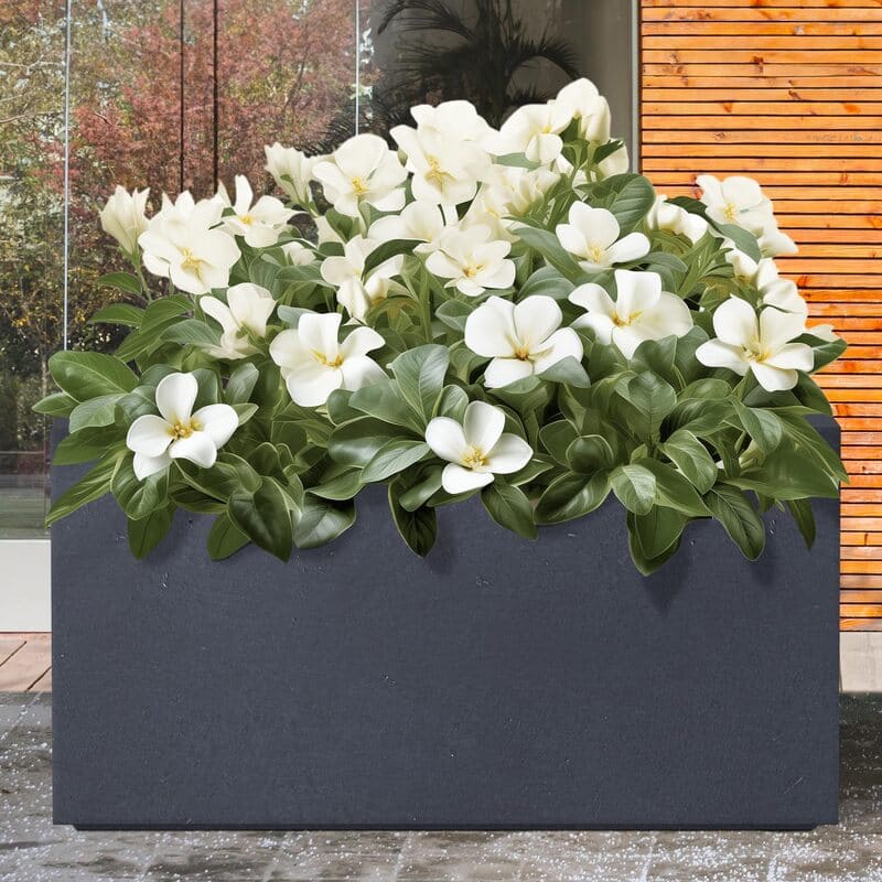 Ronglin Garden Pots & Rectangular Concrete Planters