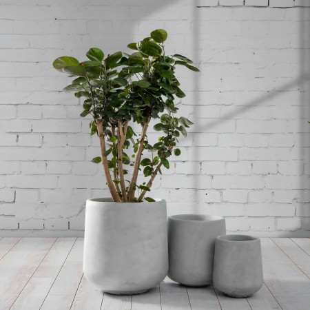 concrete flowerpot